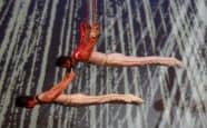 The Peking Acrobats – Two Shows Saturday